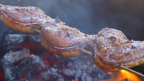 Churrasco acabado de fazer — Vídeo de Stock