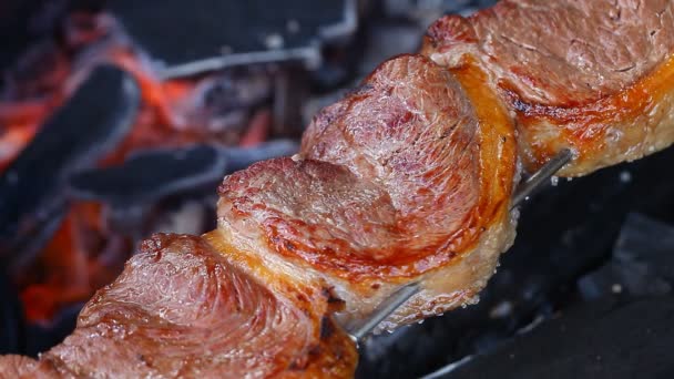 Churrasco acabado de fazer — Vídeo de Stock