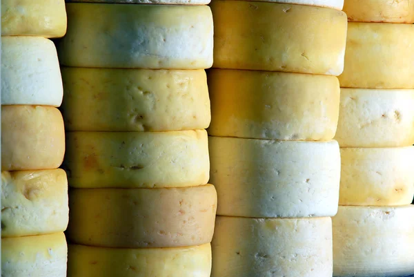 Whole fresh cheese — 스톡 사진