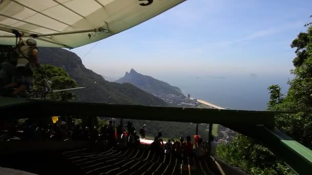 Paradijzervlieger in Rio de Janeiro, Brazilië — Stockvideo