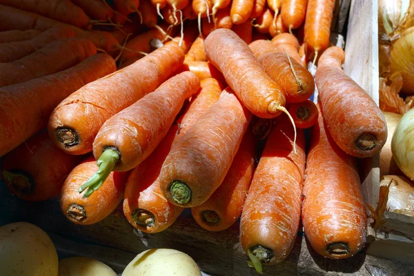 Cenouras no mercado de sexta-feira — Fotografia de Stock