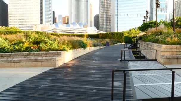 Millennium Park i Chicago – Stock-video