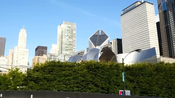 Millenium park, chicago, illinois. — Vídeo de Stock