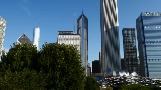 Millenium park, chicago, illinois. — Vídeo de Stock