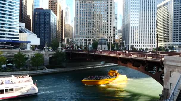 Ciudad de Chicago en Illinois, Estados Unidos — Vídeo de stock