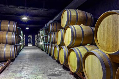 Arjantin 'deki yeraltı üzüm bağları