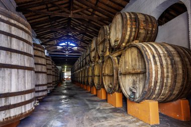 Üzüm bağı, Arjantin 'de şarap fıçısı