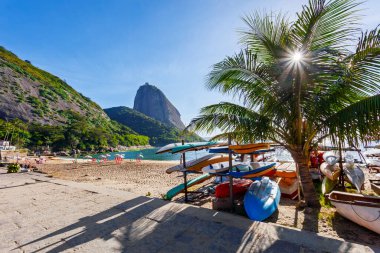 Brezilya 'nın başkenti Rio de Janeiro' da bir palmiye ağacının altında Praia Vermelha plajı, Sugarloaf Dağı (Pao de Acucar) ve renkli kanolar..