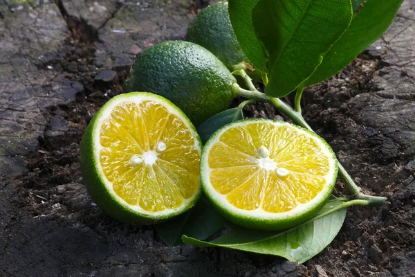 Лимон нарізаний навпіл — стокове фото