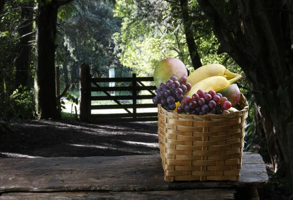 Košík s ovocem na farmě s hroznů, mango, banán. — Stock fotografie