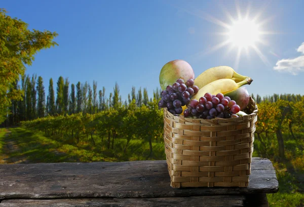 Košík s ovocem na farmě s hroznů, mango, banán. — Stock fotografie