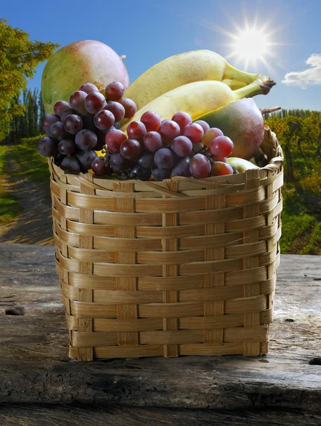Obstkorb auf dem Bauernhof mit Trauben, Mango, Banane. — Stockfoto