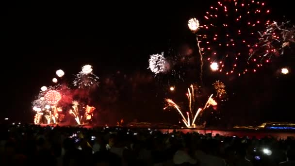 Kleurrijk vuurwerk op de zwarte lucht — Stockvideo