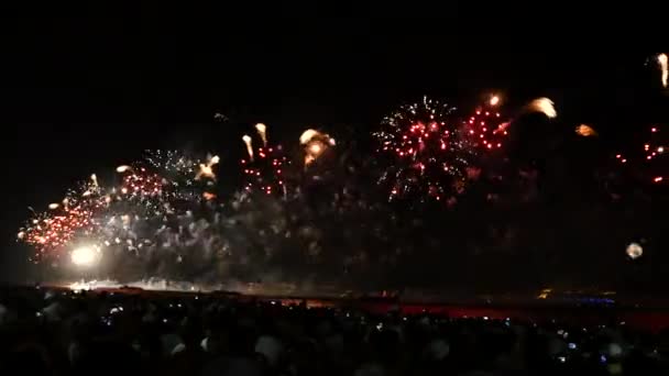 Colorful fireworks on the black sky — Stock Video