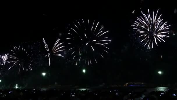 Fuegos artificiales de colores en el cielo negro — Vídeos de Stock