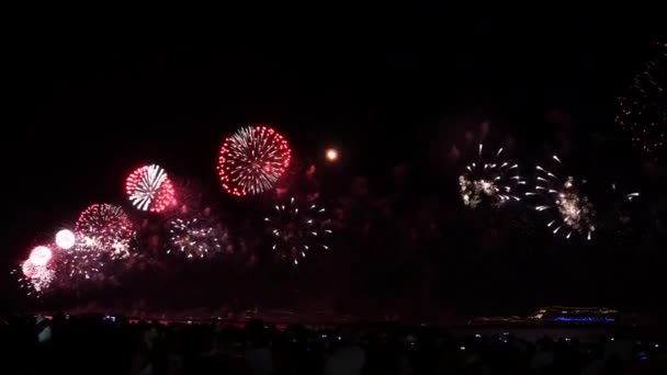 Colorful fireworks on the black sky — Stock Video