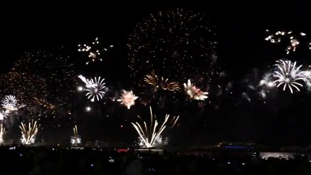 Fuochi d'artificio colorati sul cielo nero — Video Stock