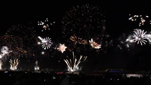 Fuegos artificiales de colores en el cielo negro — Vídeo de stock