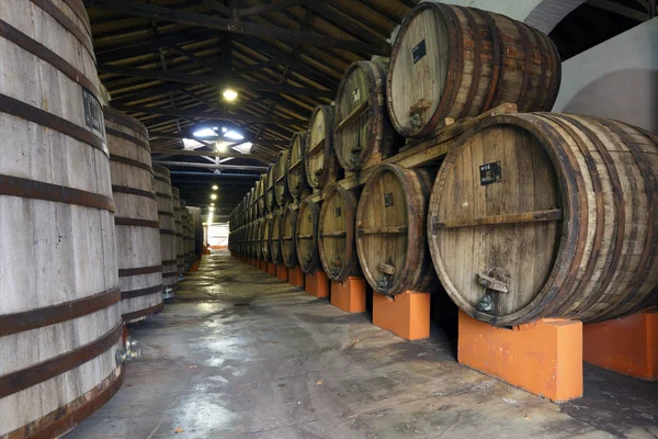 Vigneto e botti di legno — Foto Stock