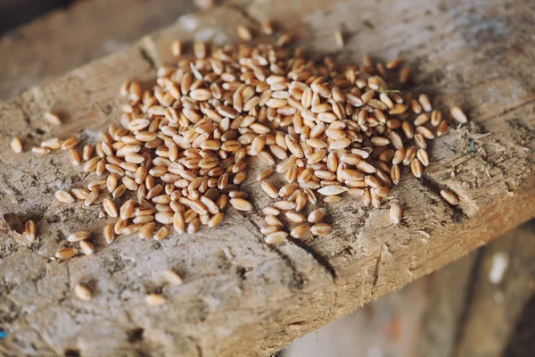 Chicchi di grano su fondo di legno marrone — Foto Stock