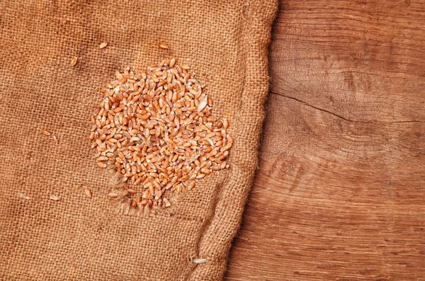 Sementes de trigo em um saco de lona em uma mesa de madeira — Fotografia de Stock