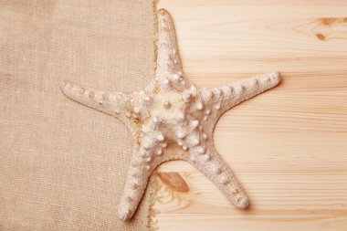 Deniz yıldızı bir ahşap masa ve Sivas'tan bir arka plan üzerinde