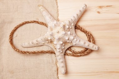 Deniz yıldızı bir ahşap masa ve Sivas'tan bir arka plan üzerinde