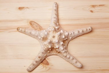 Deniz yıldızı ahşap tablo