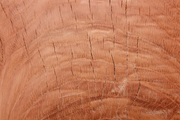 Wooden texture Royalty Free Stock Photos