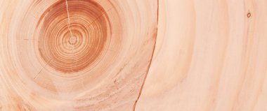 Kahverengi ahşap doku - Ladin