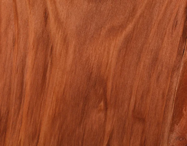 Brown wood texture - spruce — Stock Photo, Image