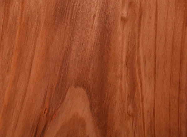 Brown wood texture - spruce