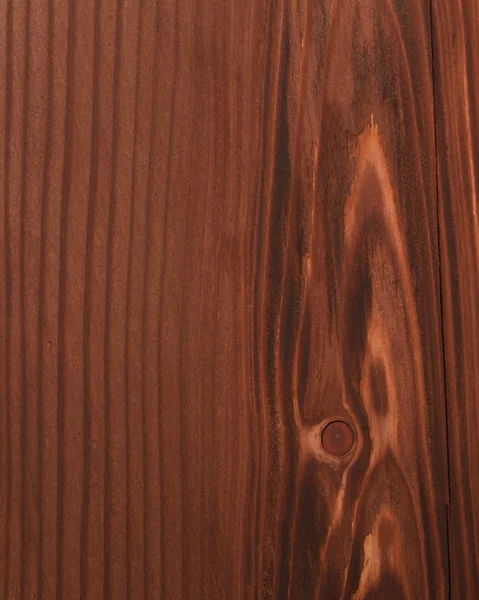 Texture bois brun - épicéa — Photo