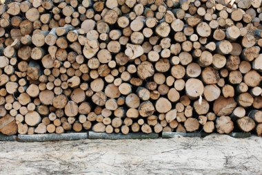 Arkaplanda Ormanlı Ahşap Kütükler. Ön planda kesilmiş ve istiflenmiş ağaç gövdeleri