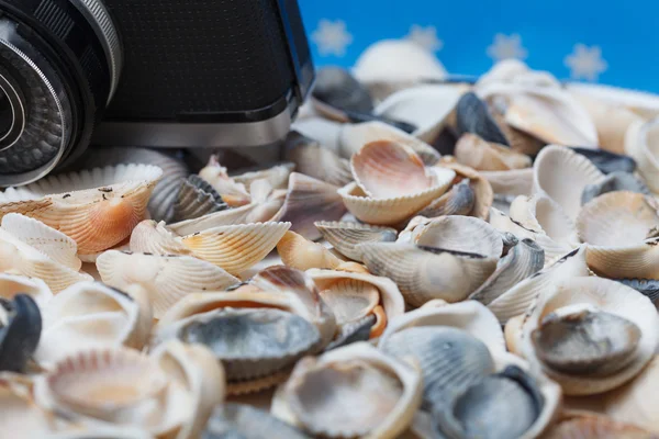 Seashell and camera on the beach - vacation and travel concept — Stock Photo, Image