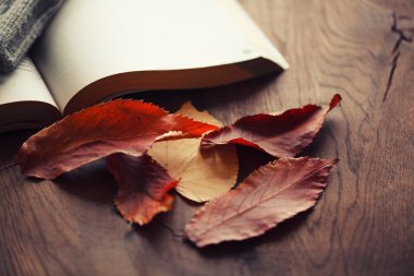  yaprakları ve ahşap bir masa üzerine bir kitap