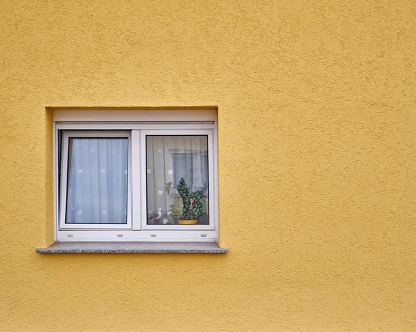 Okno z kwiatami na ściana żółty — Zdjęcie stockowe