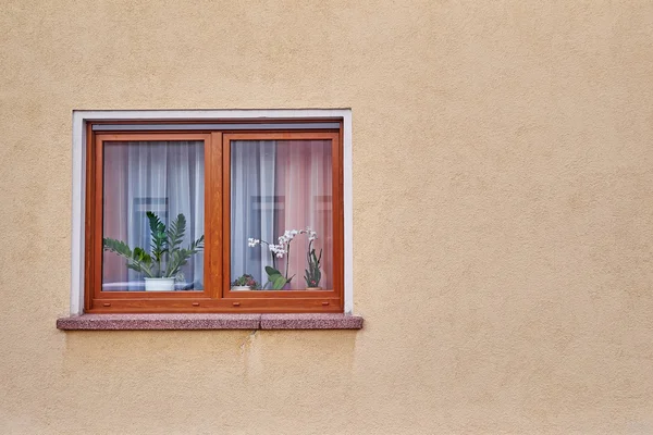 Деревянное окно с цветами — стоковое фото