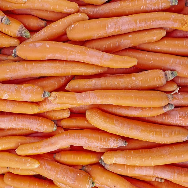 Zanahorias orgánicas primer plano — Foto de Stock