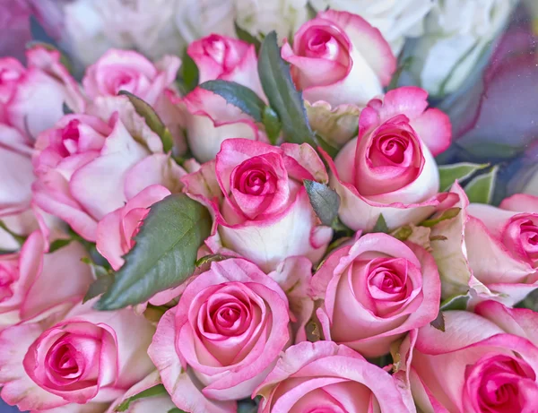 Ramo de rosas rosadas primer plano — Foto de Stock
