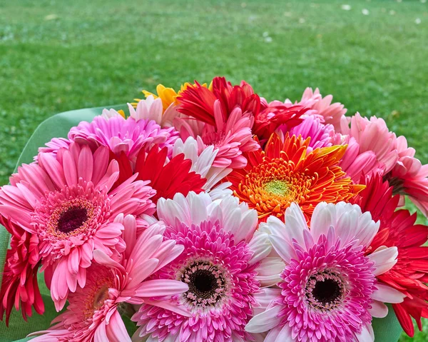 Gerbera kytice na zelené trávě — Stock fotografie