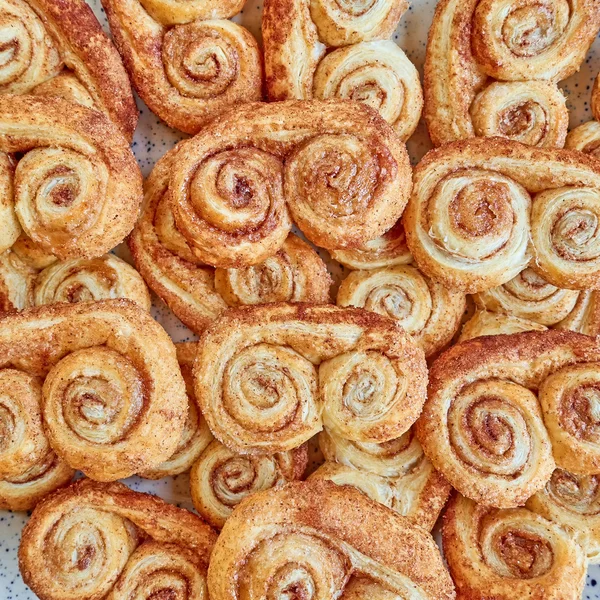 French palmier sweet cookies — Stock Photo, Image