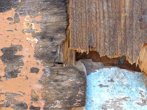 Variety Weathered Wood Pieces Washed Sea Strong Texture Background — Stock Photo, Image