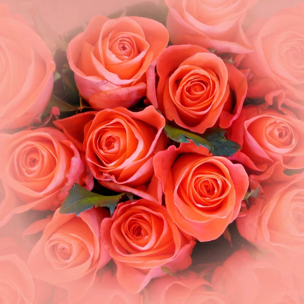 Bunte Orangefarbene Rosen Strauß Draufsicht Weicher Und Luftiger Natürlicher Hintergrund — Stockfoto