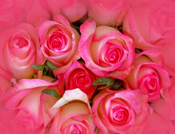 Colorido Rosa Rosas Blancas Ramo Vista Superior Fondo Natural Suave — Foto de Stock