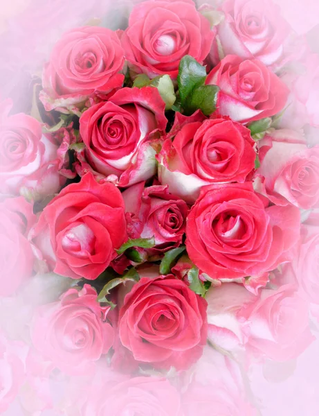 Colorido Rojo Rosas Blancas Ramo Vista Superior Fondo Natural Suave — Foto de Stock