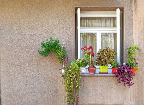 Vintage House Window Colorful Flowers Athens Greece — Stock Photo, Image