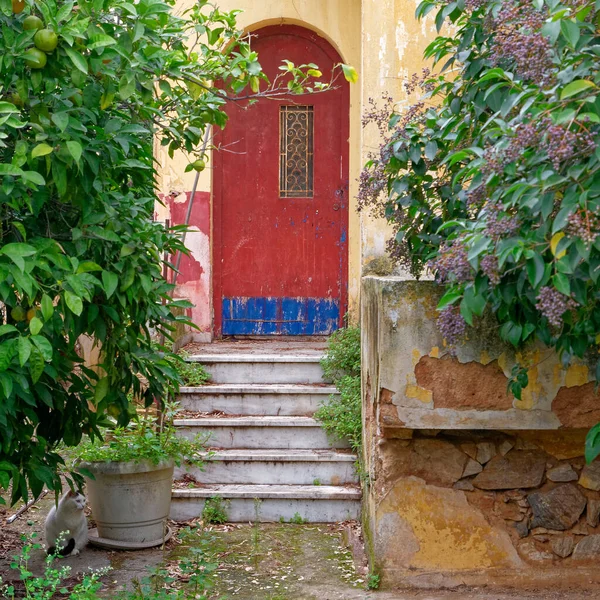 Weathered Vintage House Entrance Red Arched Door Garden — Stock Photo, Image