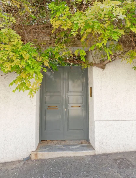 Casa Blanca Lavó Cerca Sólida Pared Con Puerta Gris Follaje — Foto de Stock