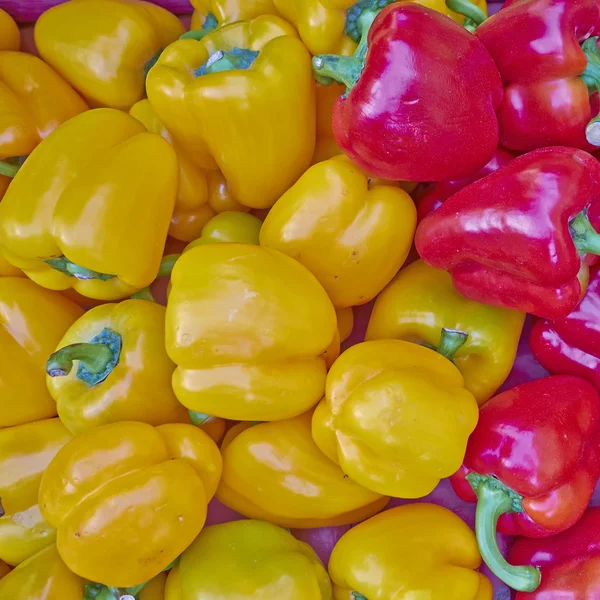 Varietà di peperoni colorati in vendita — Foto Stock